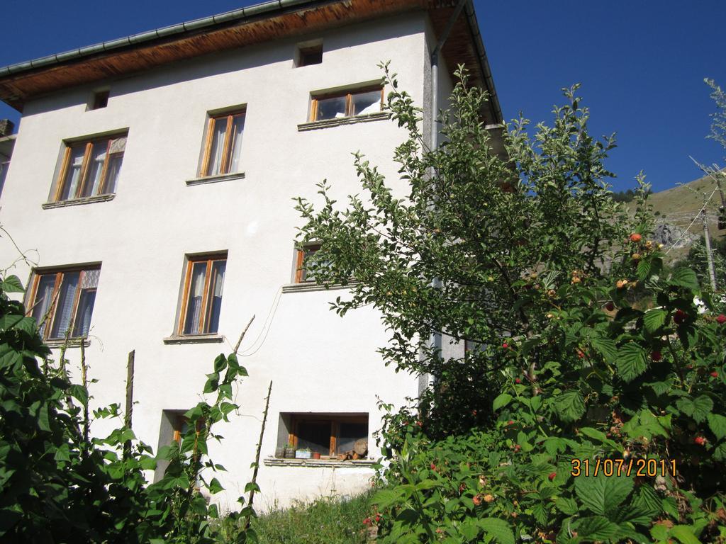 Kristal Guest House Trigrad Extérieur photo